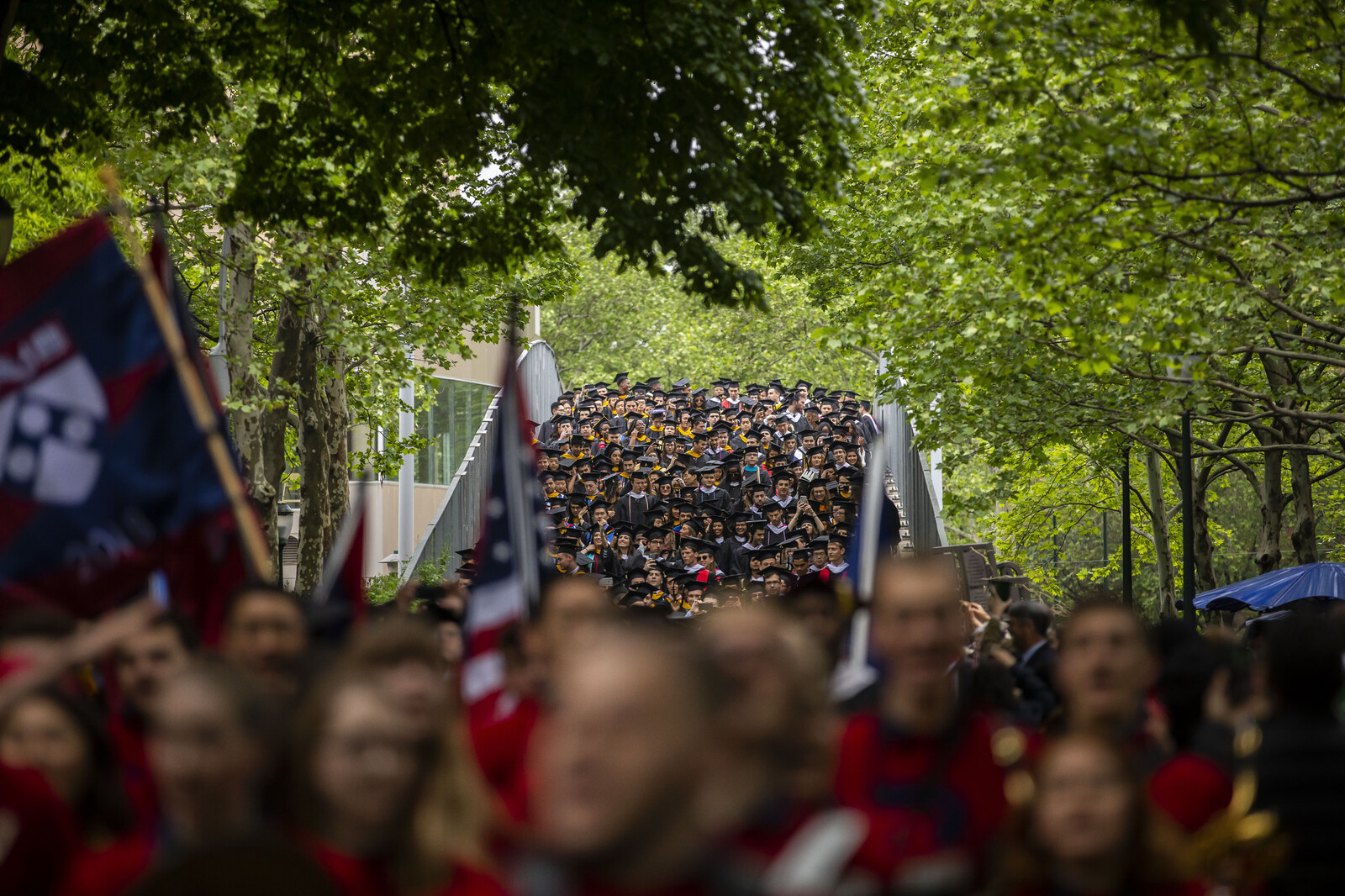 The commencement procession winds its way through Penn’s tree-lined campus.
