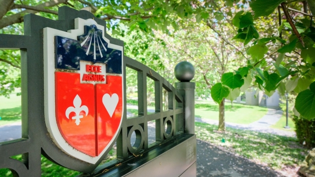 Gate with crest